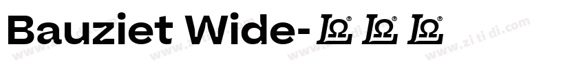 Bauziet Wide字体转换